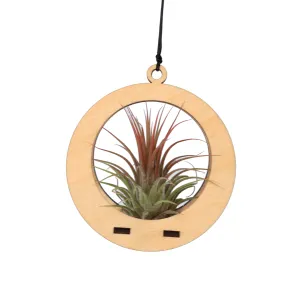 Air Plant Hanger - Mini Circle Maple