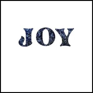 Christmas Fused Applique Word - JOY