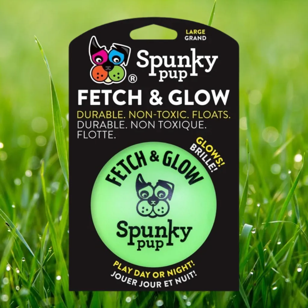 Fetch and Glow Ball - Large