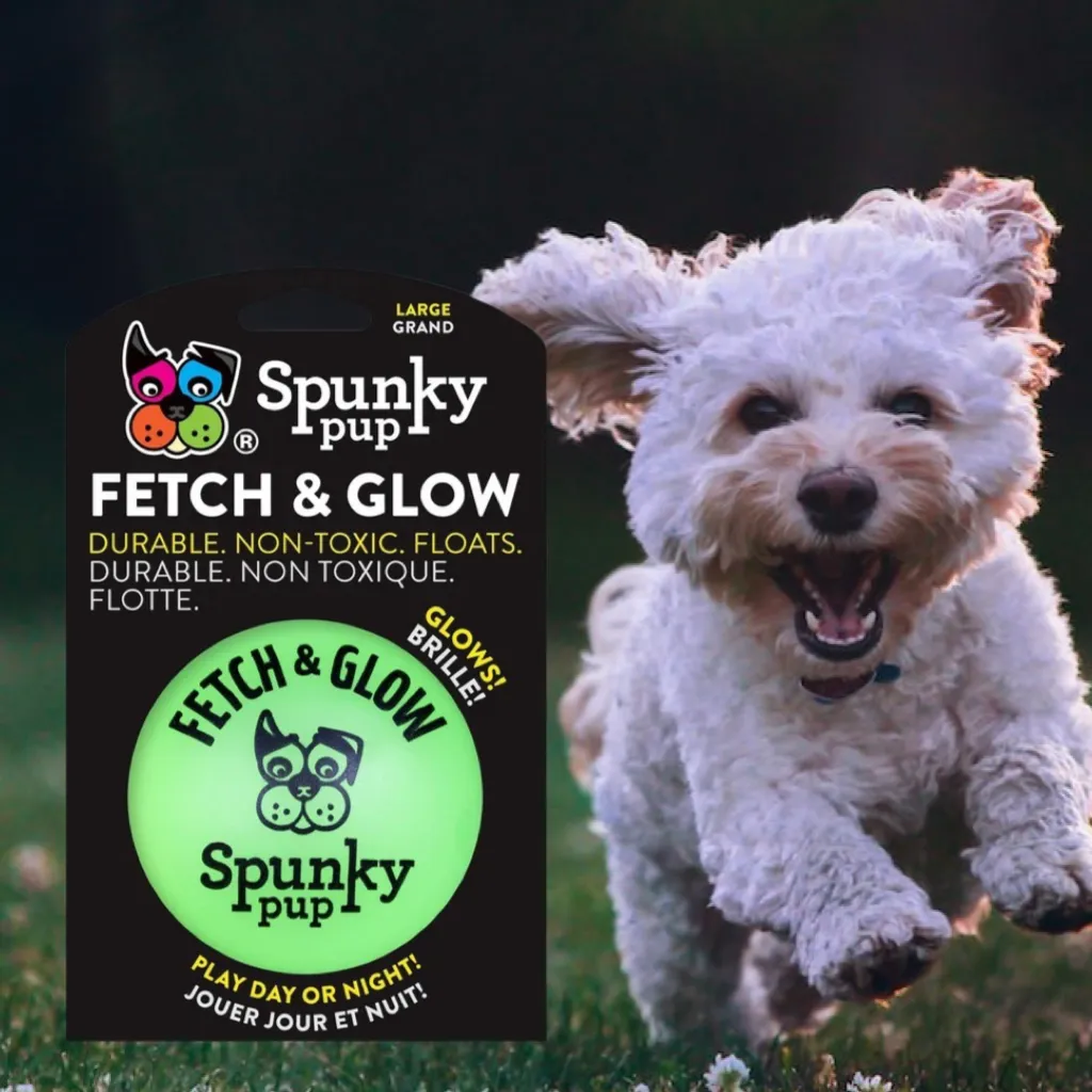 Fetch and Glow Ball - Large