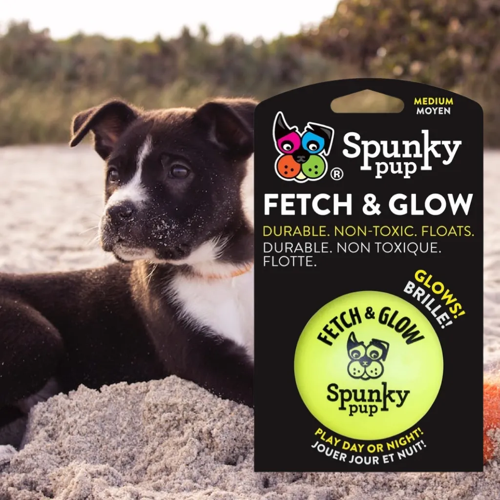 Fetch and Glow Ball - Medium