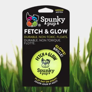 Fetch and Glow Ball - Medium