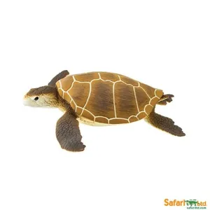 Safari Ltd Sea Life Green Sea Turtle