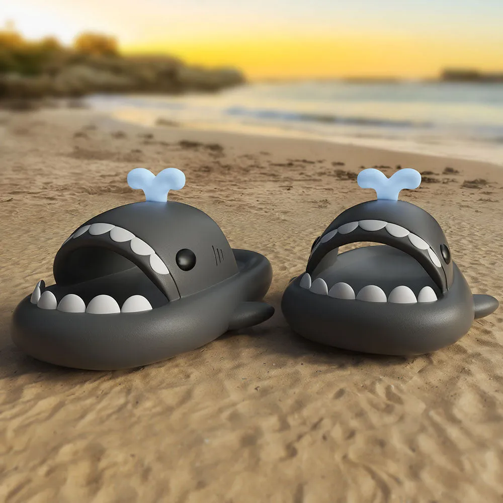 Sharkicks Basic - Whale Spouting Shark Slides