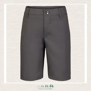 Under Armour Boys Toddler Golf Medal Play Shorts - Gray